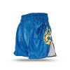 Buakaw-Shorts-BSH4-Green-Blue-Shade4
