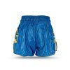 Buakaw-Shorts-BSH4-Green-Blue-Shade3
