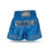 Buakaw-Shorts-BSH4-Green-Blue-Shade