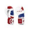 fairtex boxing gloves bgv1 thai pride2