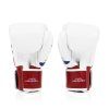fairtex boxing gloves bgv1 thai pride3