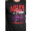 blegend muay thai boxing t shirt erke grey