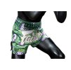 Fairtex MuayThai BS Halloween 03 3