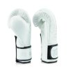 Fairtex BGVG3 Glory Velcro White1