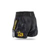Blegend muaythai shorts vaz1