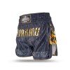 Buakaw-Shorts-BSH8-BLACK-GOLD1