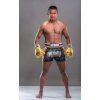 buakaw boxing gloves bgl gl3 gold2