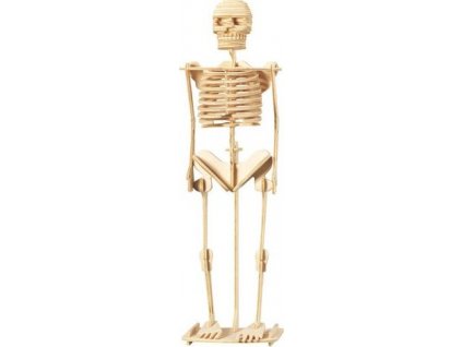 WOODEN TOY , WCK 3D puzzle Kostra