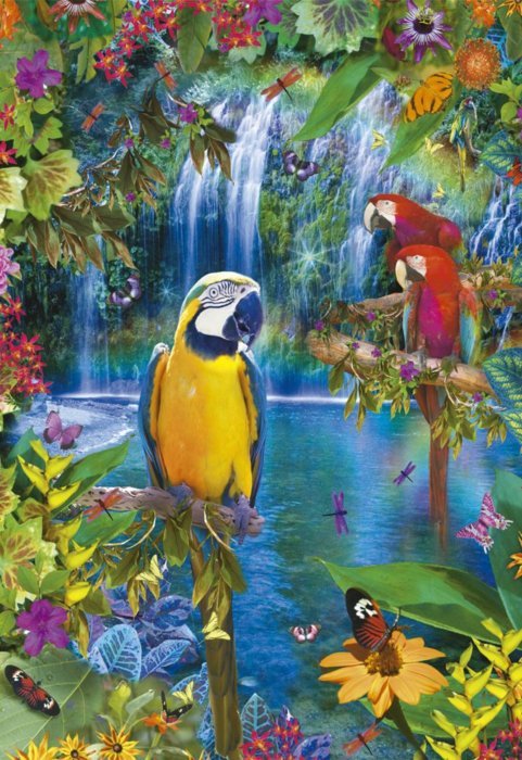 EDUCA Puzzle Ráj tropických papoušků 500 dílků
