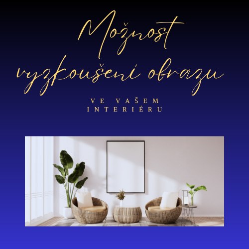 Možnost vyzkoušení obrazu