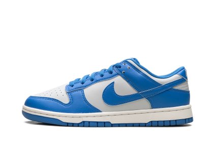 Nike Dunk Low Detroit Lions 1