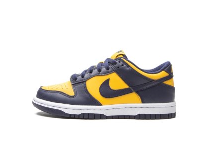 Nike Dunk Low Michigan 1
