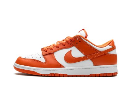 Nike Dunk Low Retro Cosmic Clay 1