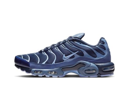 Nike Air Max Plus Obsidian Aluminum 1