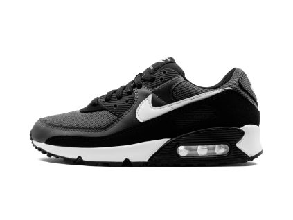 Nike Air Max 90 Iron Grey 1