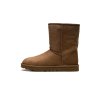 UGG Classic Short II Boot Chestnut (W) 1