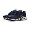 Nike Air Max Plus FFF 2