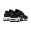 Nike Air Max Plus FFF 3