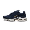 Nike Air Max Plus FFF¨1
