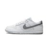 Nike Dunk Low SE Winter Storm 1