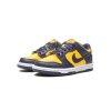 Nike Dunk Low Michigan 2