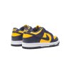 Nike Dunk Low Michigan 3