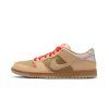 Nike SB Dunk Low Pro 1