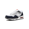 Nike Air Max Correlate Pure Platinum 4