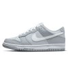 Nike Dunk Low Two Toned Grey (GS) 111