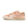 Nike SB Dunk Low Trocadéro Gardens