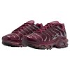 ipad nike air max plus night maroon dark team red 0