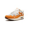 Nike Air Max 1 Patta Waves Monarch (with Bracelet) 444 (1)