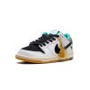 Nike SB Dunk Low CSEF 4