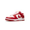 Nike Dunk Low USC 4