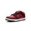 Nike SB Dunk Low Cherry 4