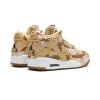 Jordan 3 Retro WNBA Desert Camo (W) 3