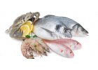 Ryby a rybí výrobky