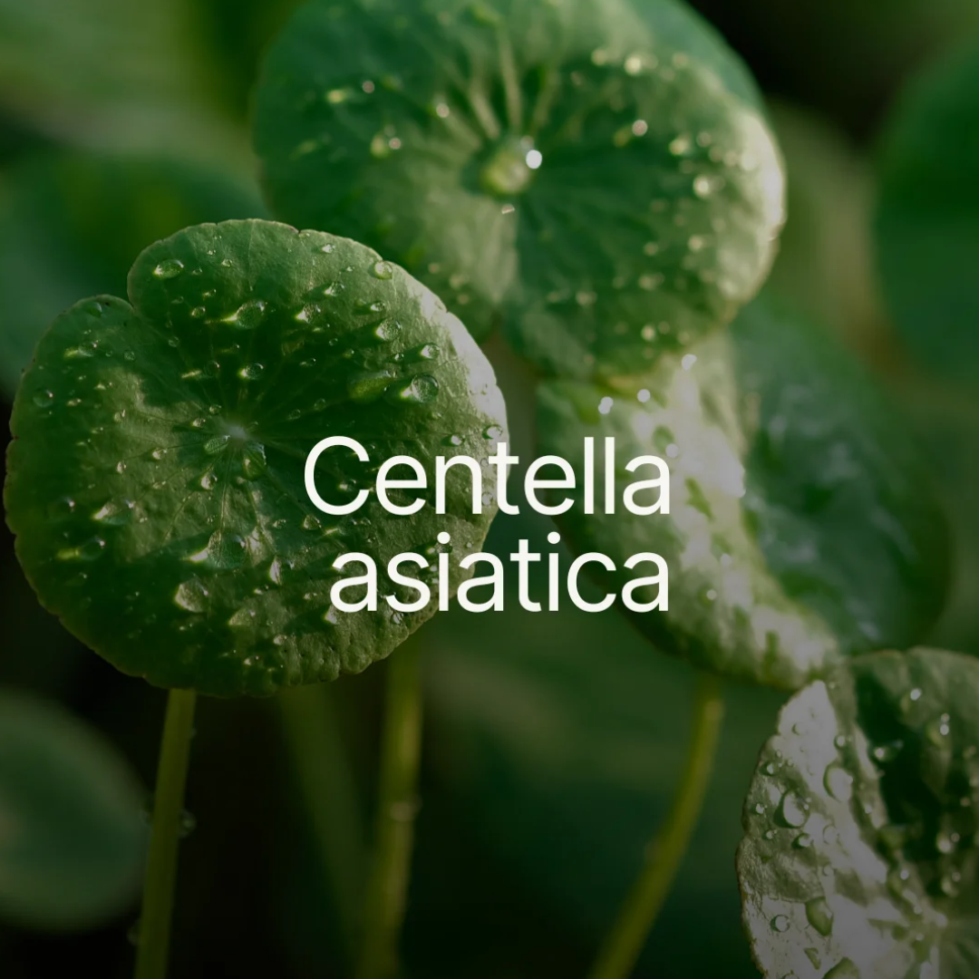 Ajurvédský klíč k pleti, která stárne pomaleji