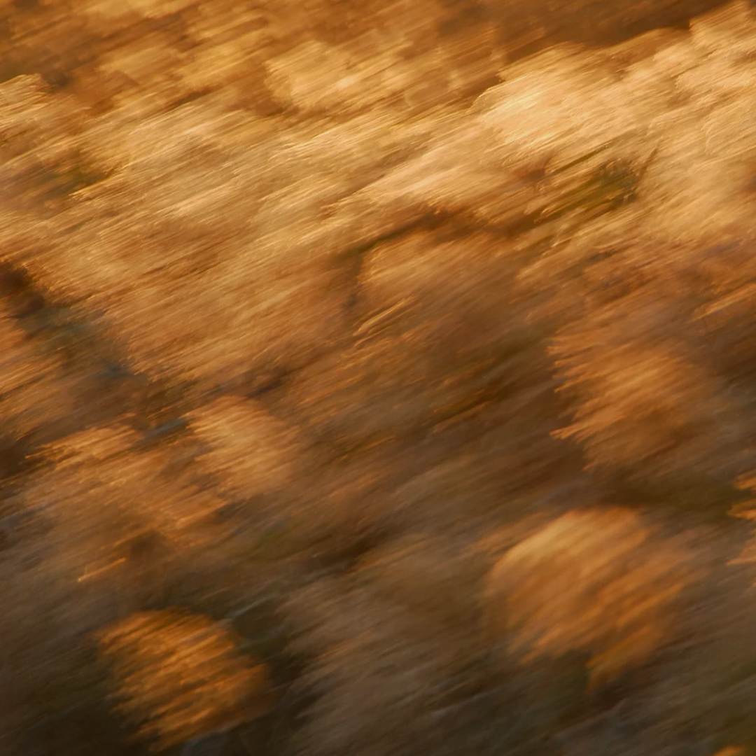 Čas na hutnější krémy a oleje