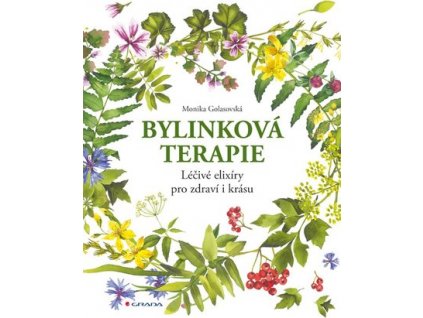 bylinkova terapie