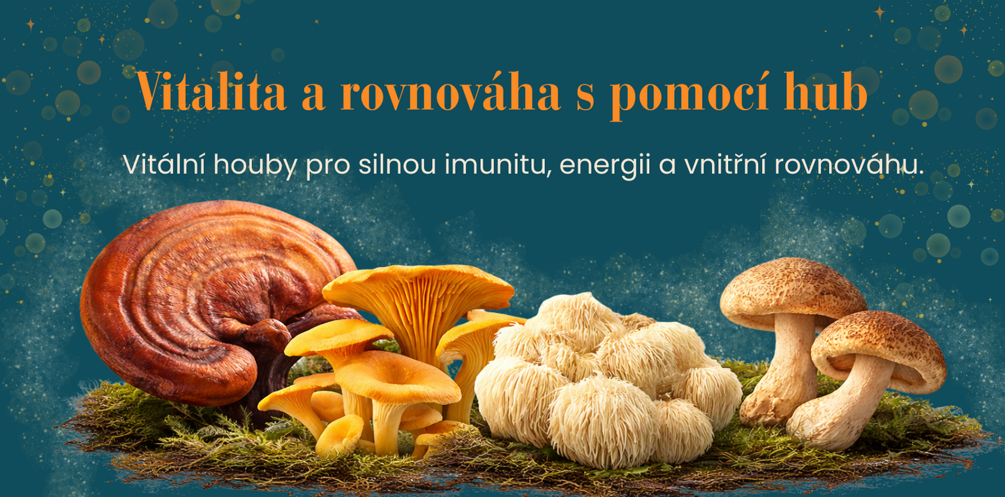vitální houby