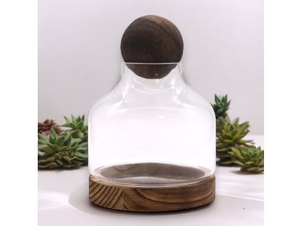 terarium kulicka1
