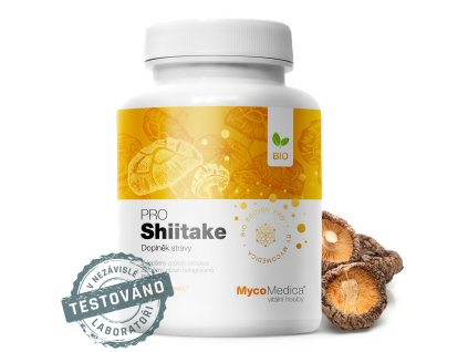 shiitake detail s razitkem kopie 2.1025759333