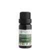 Ylang ylang