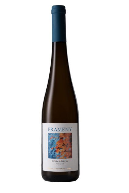 Obrázek