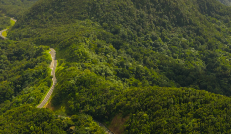 Čo je fond Impact on Biodiversity?