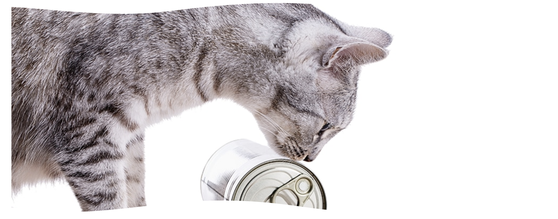 Ako čítať etiketu a zloženie krmiva