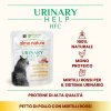 almo-nature-hfc-urinary-help-cat-kura--50g-1