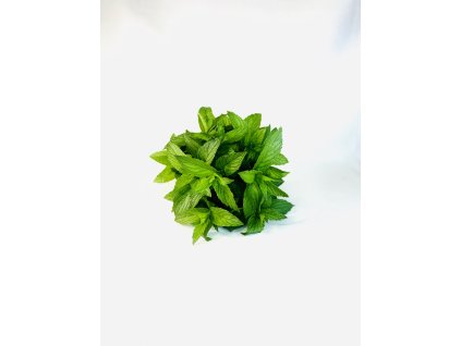 Syrská máta ( باقة نعنع سوري )