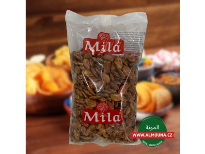 WhatsApp Image 2025 01 19 at 16.34.51 (2)